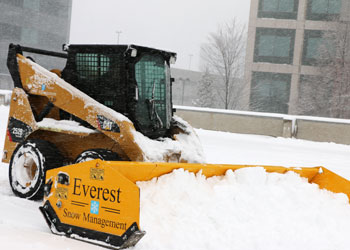 bobcat-pushing-snow